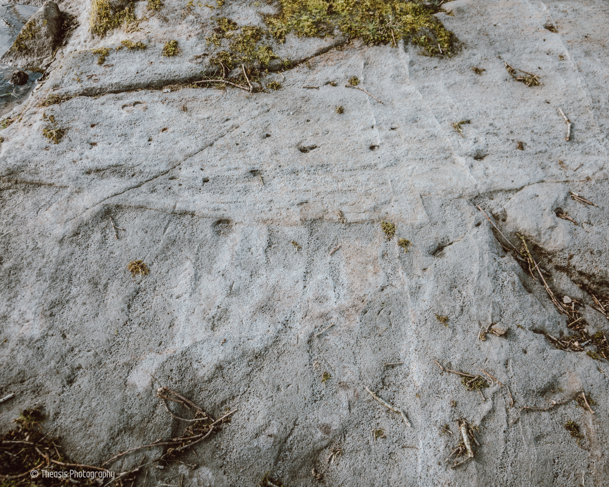 The tool-marked eastern surface of the outcrop.